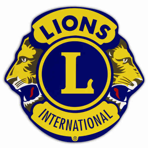 Kartonkinen lions-logo 55 cm