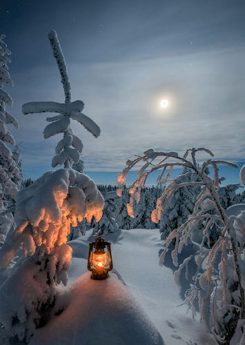 Lykta och måne POSTKORT
