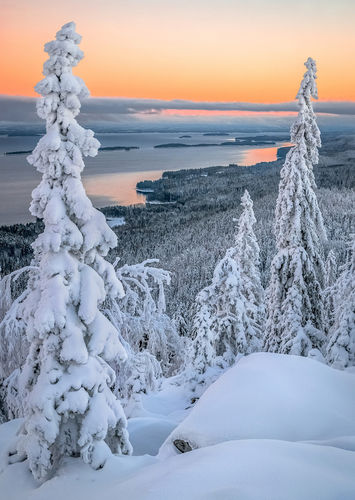 Koli talvella POSTKORT