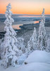 Koli talvella POSTIKORTTI